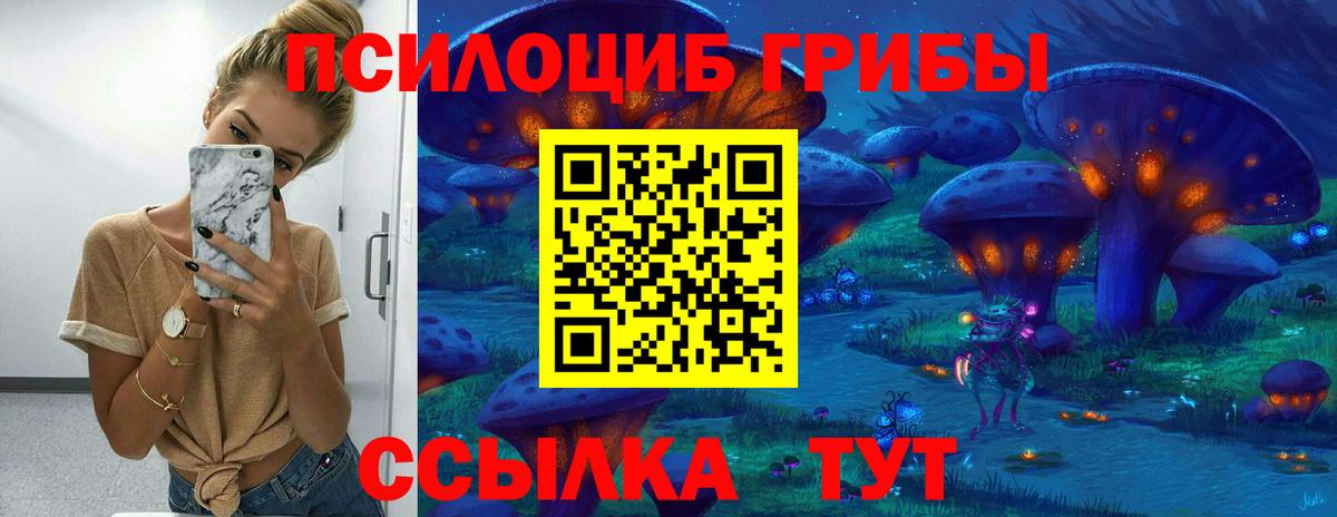 Курчатов  Псилоцибиновые грибы мицелий  Псилоцибиновые грибы прущие грибы  Вход с VPN 